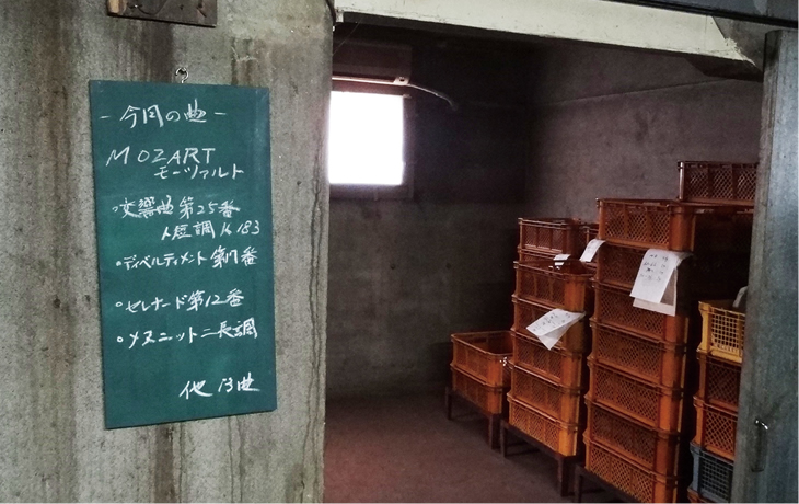 クラシック節について